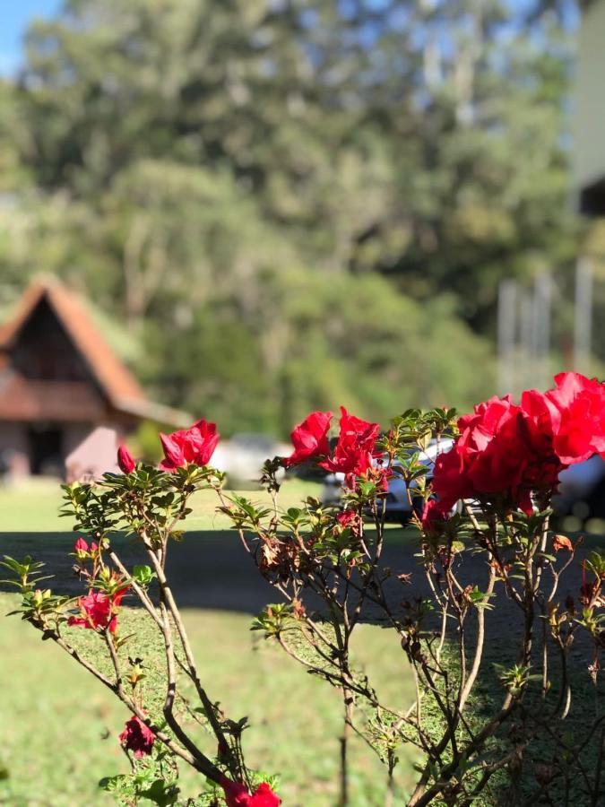 Pousada Guimaraes Sao Pedro da Serra  Buitenkant foto